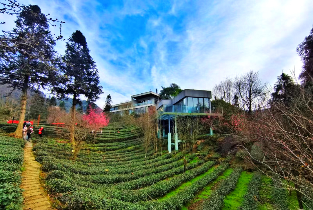 Ag亚洲集团(中国区)有限公司官网